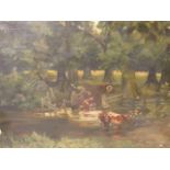 E France (1908) - Cattle drinking in a river with trees and fence by the bank with cattle in a field