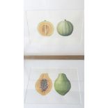 Brigit Edwards circa 1987, still life study of a Gala Melon/still life study of a paw paw, two