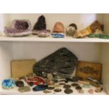 A good collection of stone specimens, crystals and fossils