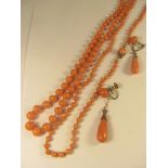 A 19th century coral bead necklace with yellow metal clasp, a progressing strand of coral beads