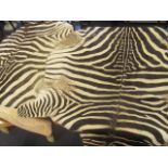 Two vintage zebra skin rugs