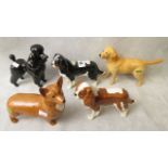 A group of Beswick pottery dog figures to include a black glazed poodle, a golden Labrador, a