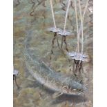 Richard J Smith - a watercolour of a trout, signed lower right corner, mounted and glazed in a
