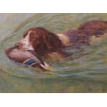 Peter Munro - Spaniel swimming with a duck, oil painting on board, signed and dated 1996, lower