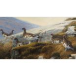 Peter Munro 1996 - oil on board highland landscape with game birds, signed and dated lower right