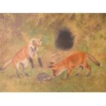 David Perkins - a framed oil on canvas painting of two foxes playing with a hedgehog in a country