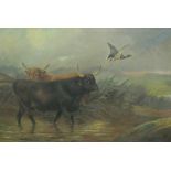 COLIN GRAEME. Highland cattle at a loch-side; and Highland Cattle and Sheep dog on a Moor, signed