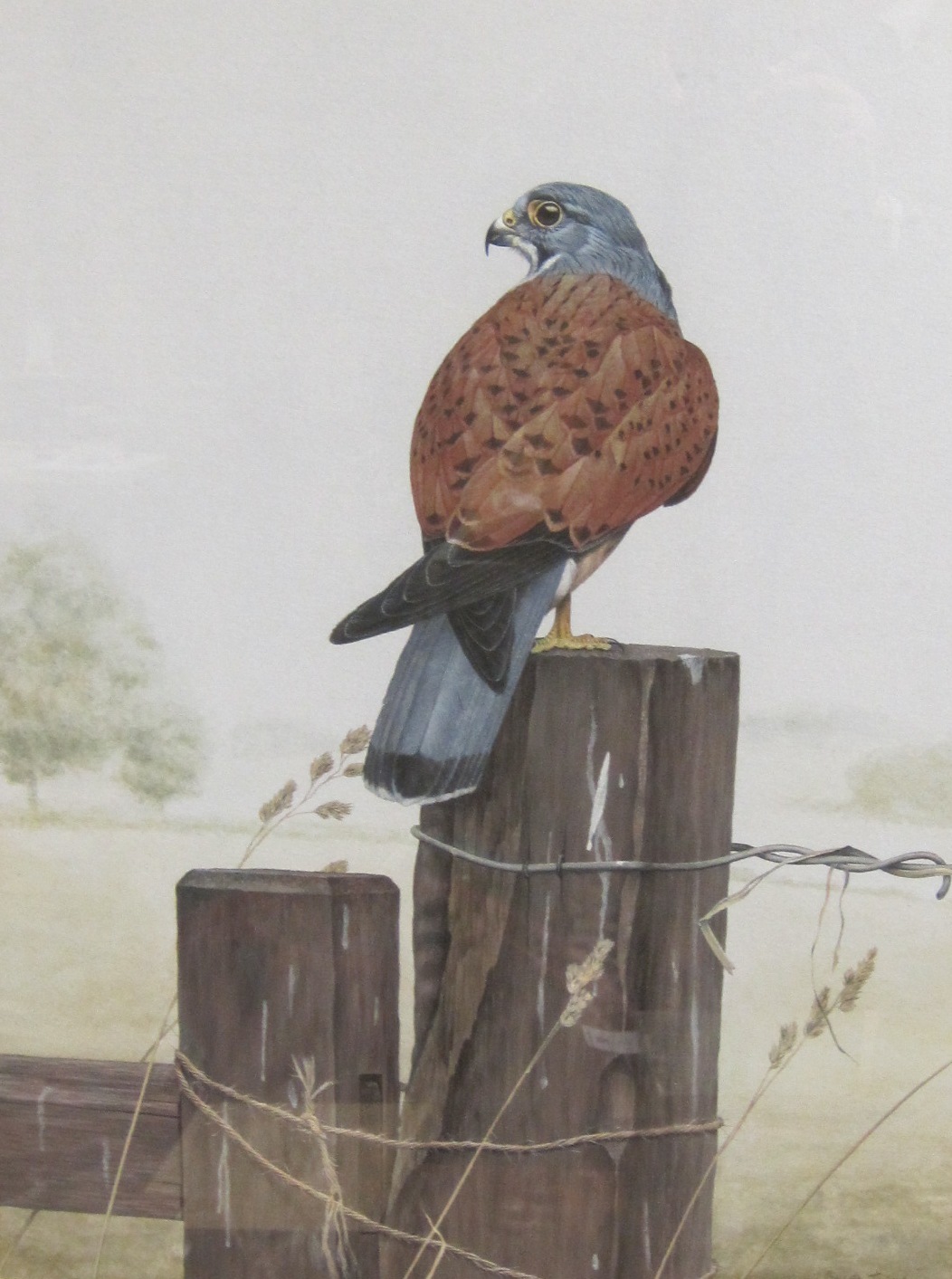 SIMON TURVEY. A male Kestrel on a Gate Post, signed, watercolour, 24 x 18 in