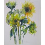 PHILIPPA H. JONES. French Sun Flowers, signed and inscribed, watercolour,27 x 19 1/2 in