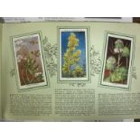 A Collection of Cigarette Cards, contained in various albums, and loose, subjects include Famous