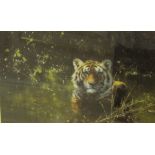 DAVID SHEPHERD. Cool Tiger, reproduction in colours, signed and numbered 952/1500 in lower margin,