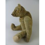 A fine English made fully jointed Teddy Bear with serious face and pronounced hump back. Circa 1925.