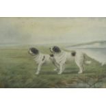 R. SEADON. Study of St.Bernard Dogs in a river landscape, monogrammed, watercolour, 7 x 10 1/2 in