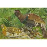 DOROTHY KING RBA. Capercaillie; Ptarmigan; and Crested Tits on branches, signed, watercolour, 10 1/2