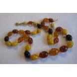 A graduated Amber bead Necklace, clasp A/F, approx 23.20gms