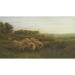 GEORGE SHALDERS. Sheep on a heathland, signed, watercolour heightened with bodycolour, 12 x 20 in