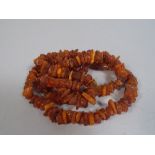 A Long String of Amber Chips. Approx 146cm.