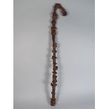 A 19th Century Rustic Walking Stick Made from Gnarled and Twisted Wood.