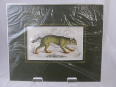 A collection of antiquarian coloured prints depicting flora, fauna, animals, birds, fish and