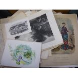 A collection of unmounted antiquarian prints depicting flora and fauna, animals, machinery, churches