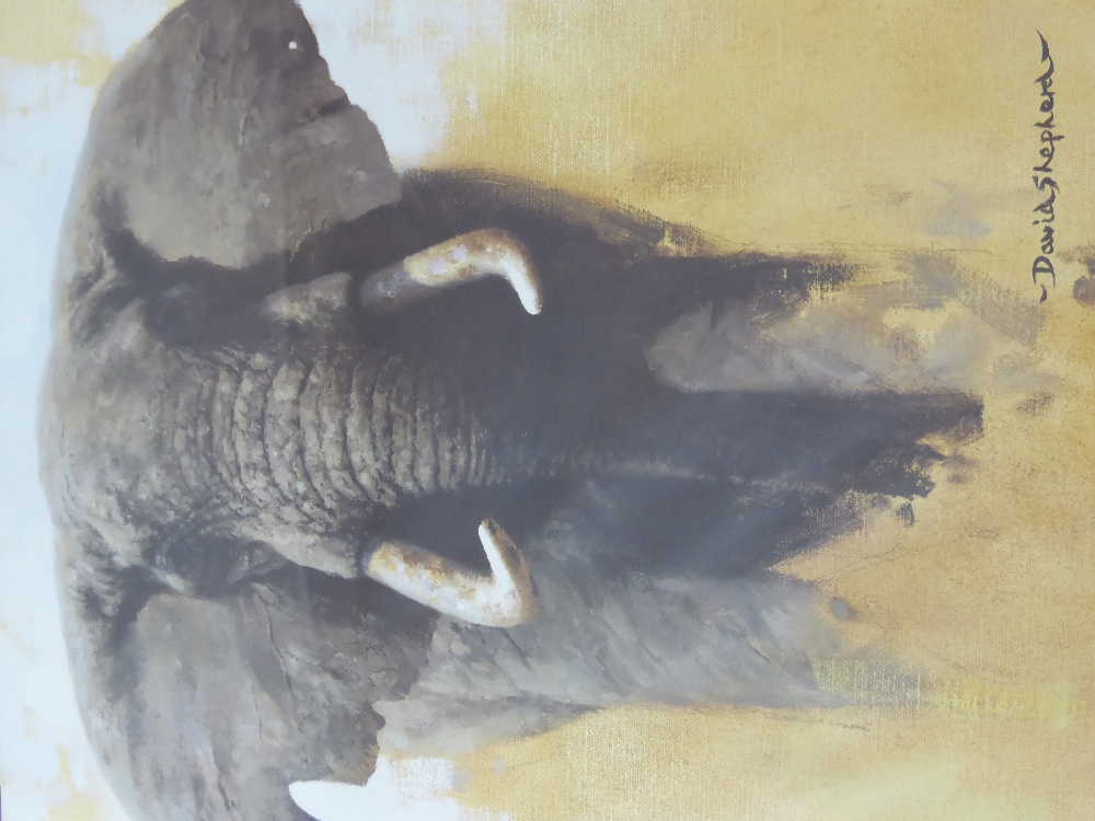 A David Shepherd print depicting an elephant, framed and glazed approx 36 x 37 cms - Image 2 of 2