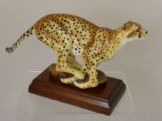 Clermont Fine China Limited Edition Study of a Cheetah, modelled and signed by S. Joyner nr 14/100