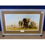 A David Shepherd print depicting a herd of elephants, framed and glazed approx 78 x 39 cms.