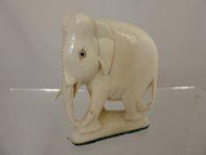 An Antique Ivory Figure of an Indian Elephant, approx 8.5 x 8 cms.