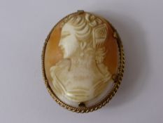 A Lady's 12 ct  Antique Gold Mounted Shell Cameo, right facing feminine profile, with rope edge