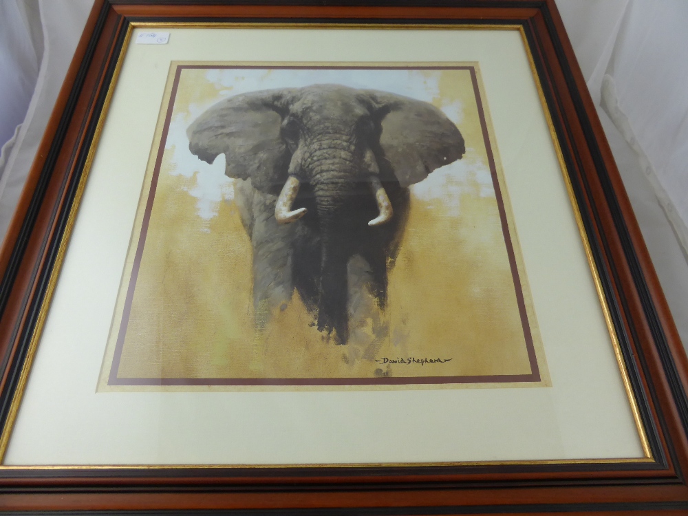A David Shepherd print depicting an elephant, framed and glazed approx 36 x 37 cms