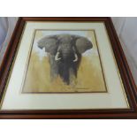 A David Shepherd print depicting an elephant, framed and glazed approx 36 x 37 cms