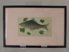 A Chinese Watercolour on rice paper, depicting a carp. framed and glazed, approx. 19 x 9 cms.