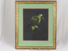 W Smith - A Pastel of a Green Woodpecker, framed and glazed, approx. 30 x 38 cms.