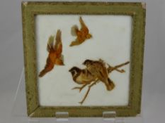 A Hand Painted Tile depicting garden birds, monogrammed A E B, approx. 24 x 24 cms. including the