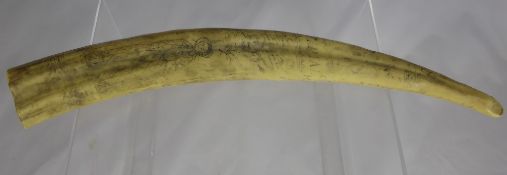 A Scrimshaw Replica Tusk, inscribed I.O Norton. Capt, approx 43 cms