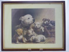 Anthony Pitt Advertising Print depicting a family of Bull Mastiff Dogs, 38 x 30 cms, together with a