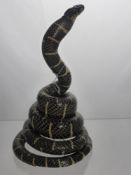 A Taxidermy Gold Ringed Cat Snake, free standing coiled approx 25 cms high.