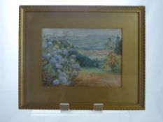 A Watercolour on Paper, depicting Hydrangea signed E Perceval-Clark, framed and glazed, approx 24