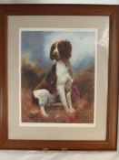 John Trickett a limited edition print No. 415/850 depicting a Spaniel signed in pencil bottom