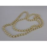 A Single String of Cultured Pearls, knotted with approx 96, 6 mm pearls, 66 cms in length.