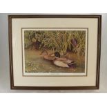 Micheal Oxenham a limited edition print No. 269/850 depicting Mallard Ducks signed in pencil