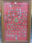 A Collection of approx 75 Military Badges, including a Victorian helmet plate "To the York and