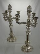 A Pair of mid 19th Century Italian Silver Candelabra, Kingdom of Sardinia (1824-1872) A central