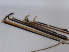 A Quantity of Walking Sticks, together with two riding crops with bone handles and a coaching