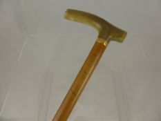 A Vintage Walking Cane, with gold collar and bone handle.