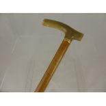 A Vintage Walking Cane, with gold collar and bone handle.