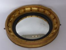 A Regency Style Gilt Wood Convex Mirror, approx 52 cms dia.