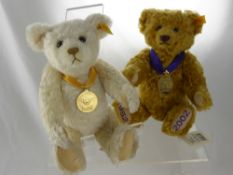 A 20th Century Mohair Steiff Bear, 'Millennium', in the original box together with a limited edition