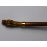 A Malacca Walking Cane with finial handle carved as a parrot with amber glass eyes and gold coloured