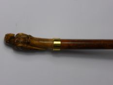 A Malacca Walking Cane with finial handle carved as a parrot with amber glass eyes and gold coloured